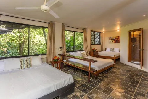 Incredible Tropical Retreat Full of Monkeys, Sloths, Toucans and much more