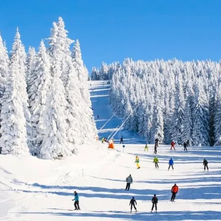 Luxe 10 guest Ski Chalet /Skiing/Pools/Tennis/Gym/Golf/Hiking