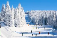 Luxe 10 guest Ski Chalet /Skiing/Pools/Tennis/Gym/Golf/Hiking
