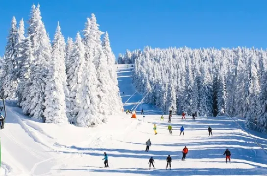 Luxe 10 guest Ski Chalet /Skiing/Pools/Tennis/Gym/Golf/Hiking