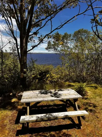 The Harbor Hideaway - Ocean Front - Private -   Port Mouton