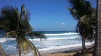 Exclusive Caribbean Villa / Rooftop Jacuzzi / Private Beach/ 24 Security /5 star - Beach