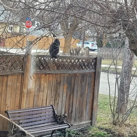 Cozy suite with private entrance, 5 minutes from downtown.