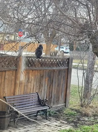 Cozy suite with private entrance, 5 minutes from downtown.