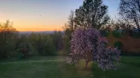 Sunset Paradise - Wh · Hot Tub! Pet Friendly! Exotic Mountain Cottage!