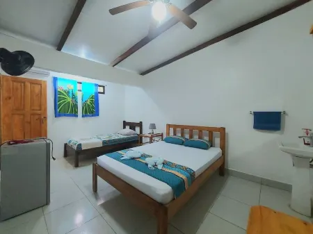 Habitación con Aire Acompañante + Tour por los Canales del Parque Nacional Отели в г. Тортугеро