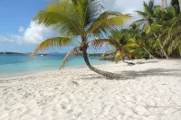 Grande Bay Resort Condo - Come Stay at 'Sunsets and Breezes' Hotel di 