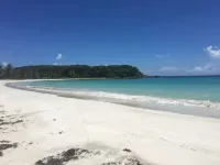 “Casa Isabel II” great location guesthouse