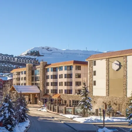 Cozy Pet-Friendly King Studio in Mt, Crested Butte Condo