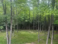 Beautiful Home in the Woods Hotels in Lenroot