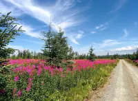 All Seasons Campground - Homestays