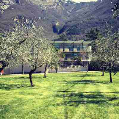 Park Hotel Il Vigneto Hotel Exterior