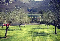 Park Hotel Il Vigneto