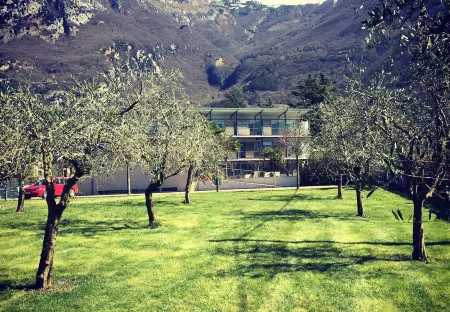 Park Hotel Il Vigneto