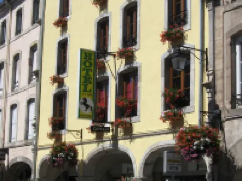 Hotel Cheval de Bronze Hotels in Remiremont