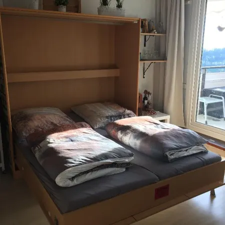 Appartement Hüttenzauber in Sankt Englmar