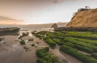Surf & Sand Inn Hotels in Neskowin