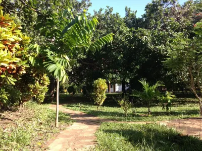 Villa with Pool, Stunning Sea Views, with Own Chef and Staff on Request Hotels in 