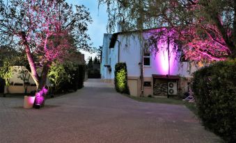 Hotel Mohr & Spa
