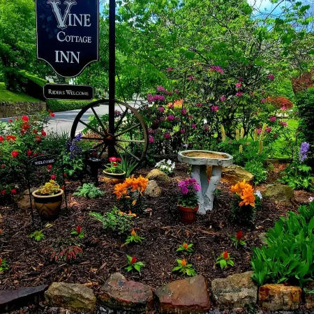 Vine Cottage Inn