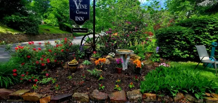 Vine Cottage Inn