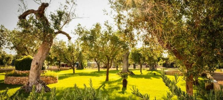 Tenuta Corano Nardò Hotels in Nardò
