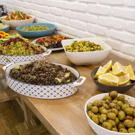 Kibbutz Malkiya Travel Hotel