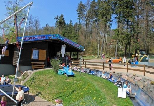 악젠트 호텔 암 부르골츠의 숲 전망