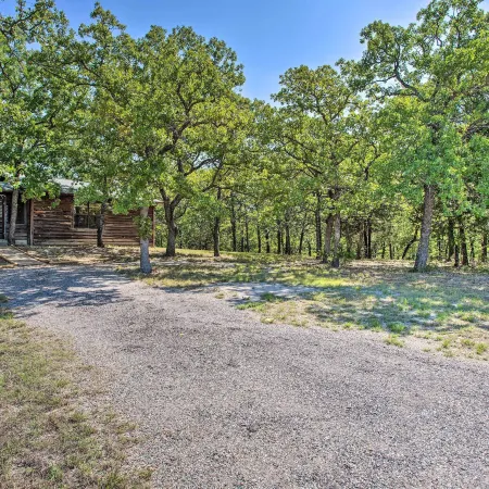 Cozy, Secluded Davis Cabin on 60 Wooded Acres