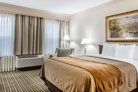 Comfort Inn Отели в г. Плейнуэлл