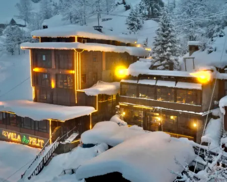 Ayder Villa de Pelit Hotel Hotels in Camlihemsin