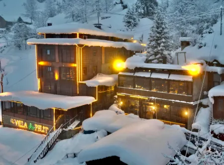 Ayder Villa de Pelit Hotel Отели в г. Yukarisimsirli Koyu