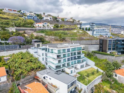 The Ocean Gaze by Homie