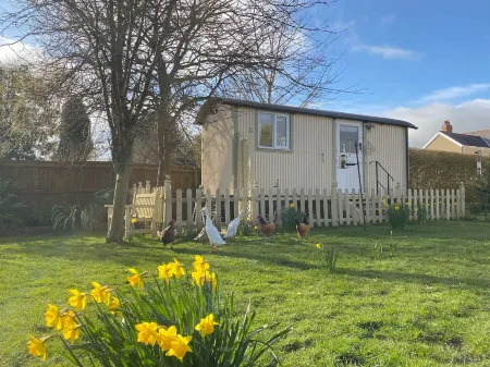 Duck House - 1 Bed Shepherds Hut - Gower Отели в г. Аппер Килей