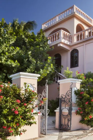 Luxury 250' long Beachfront-Pool,Horse Fountain, Snorkeling, Volleyball & Chef!  호텔