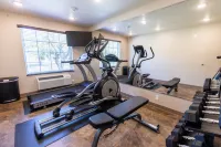 Cobblestone Inn & Suites - Winters