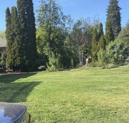 Beautiful home with a day of swimming with a private pool and jacuzzi