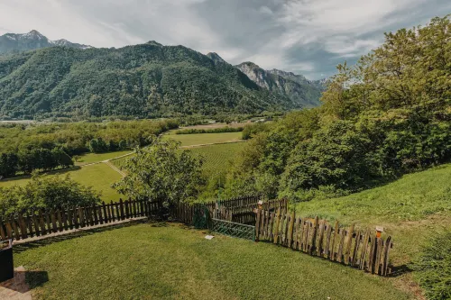 Coronata Haus Hotels in Province of Trento