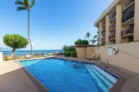 Magnificent Oceanfront Luxury Dolphin Suite with Your Own Private Elevator!