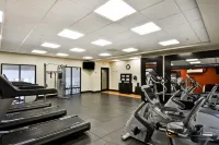Hampton Inn & Suites New Hartford - Træningscentre