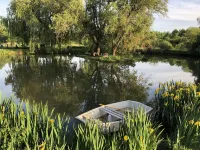 Longère Charentaise Rénovée Avec Piscine, Étang, Grand Parc Boisé