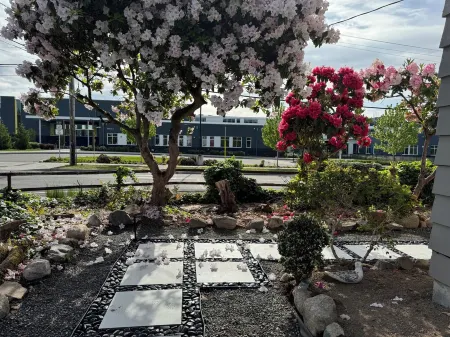 Peaceful Home-Centrally Located West Hill, Kent