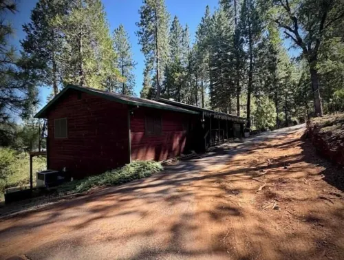 Casa Luna swim spa in the woods