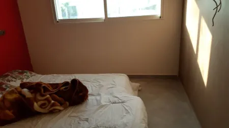 Spacious villa with forest and river 10 minutes from the beach Отели в г. Кенитра