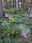 Private Mountain Tranquility for large families near Rocky Mountain National Pk!