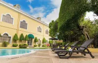 Hotel Mirador Plaza - piscine