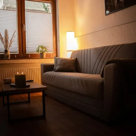 Cozy house on the Old Rhine