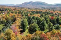 NEW:Luxury 4BR Log Cabin surrounded by trees in Hunter. Near Hiking & Waterfalls