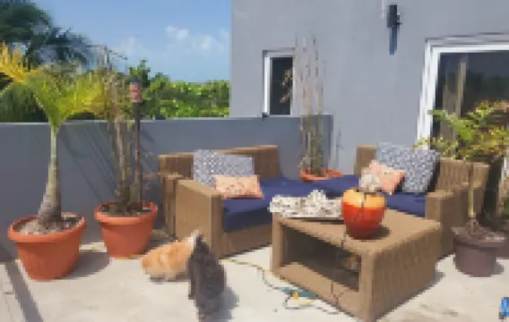 Huge modern Beach Villa dream 4 stories 360 views reef and lagoon