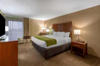 Comfort Inn Collinsville Near St Louis Hotels in Collinsville